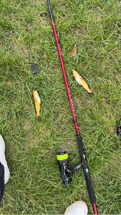 Set pescuit lansete + mulinete+ rod pod