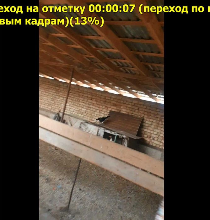 продается Ферма  для скотоводство в пос. Джалаир. Город Чирчик.