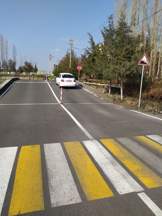 Опытный Автоинструктор , учу с нуля пошагово.