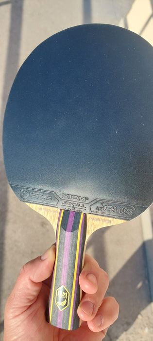 Paleta tenis de profesională