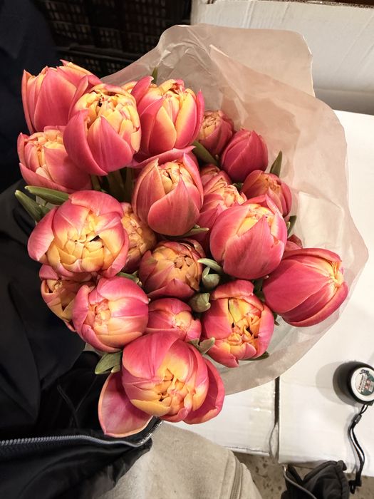 Тюльпаны оптом и розницу