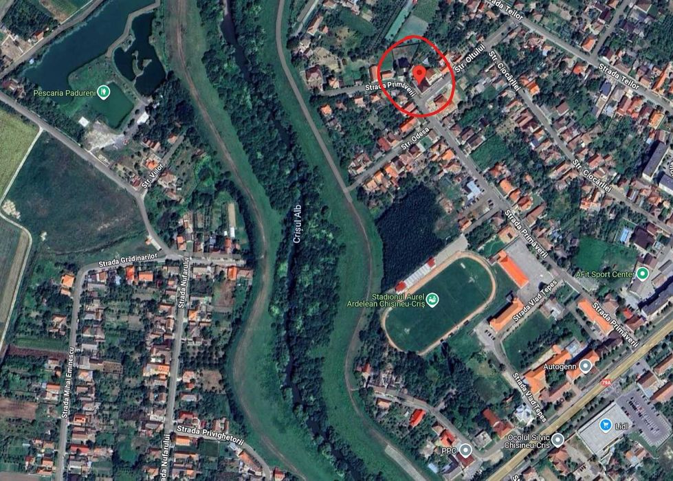 Vand casa pe malul Crisului - Chisineu-Cris, teren privat 640mp