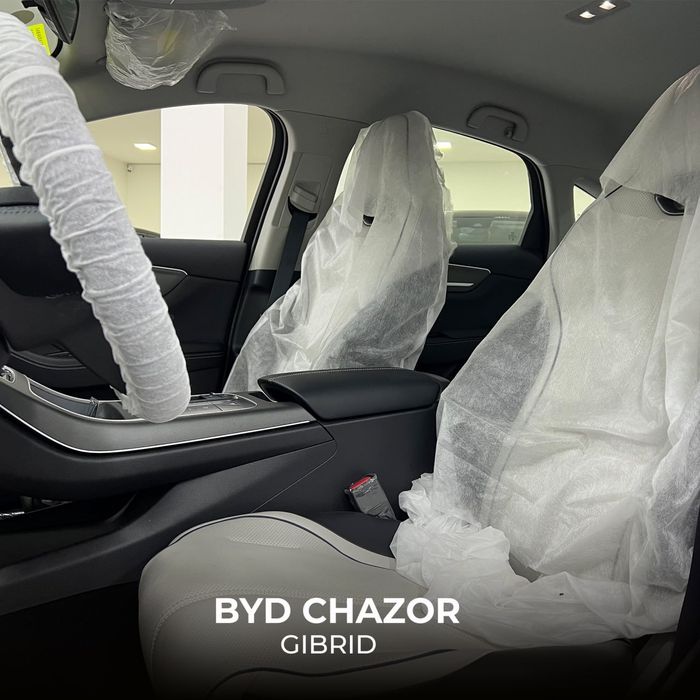 Byd chazor 101km