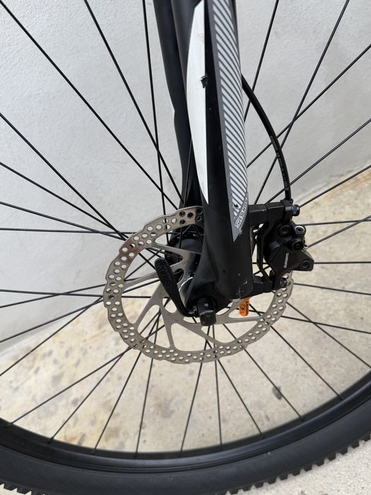 Bicicleta Mtb Focus Whistler