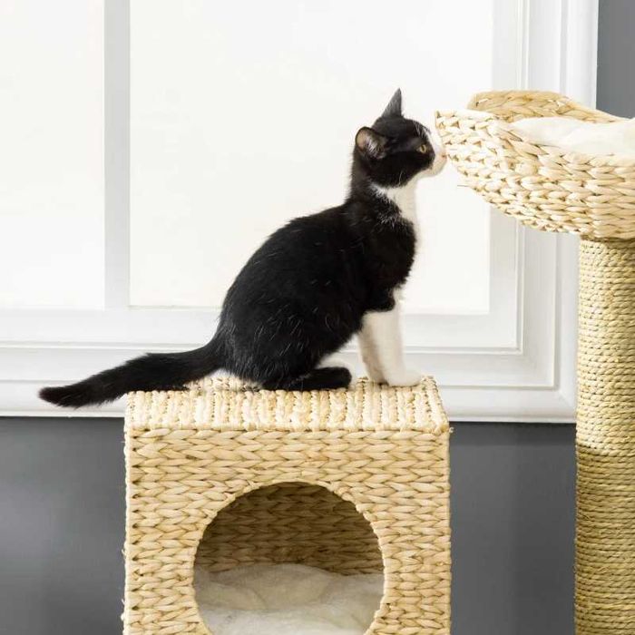 Дърво за котки PawHut с къщичка за котки, драскалки от сизал, перащи се възглавници, 100,5 В x 57 Д x 37 Ш см