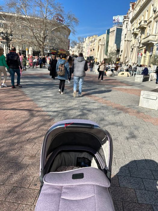 Oyster 3 Количка с два коша, кошница за кола и аксесоари Лавандула