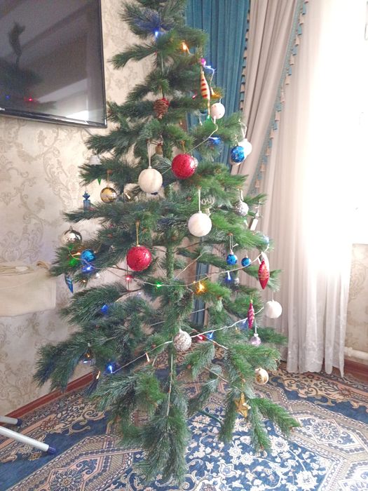 Продам новогодние елки