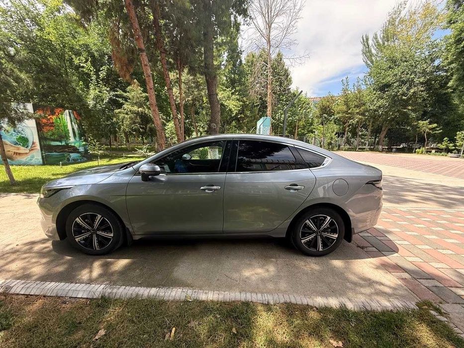 BYD Chazor flagship 120 full 4 позиция.