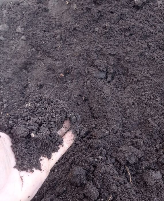 Перегной и Чернозем