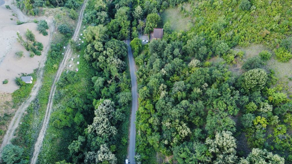 Paulis  Arad teren intravilan (Roca Bruna)