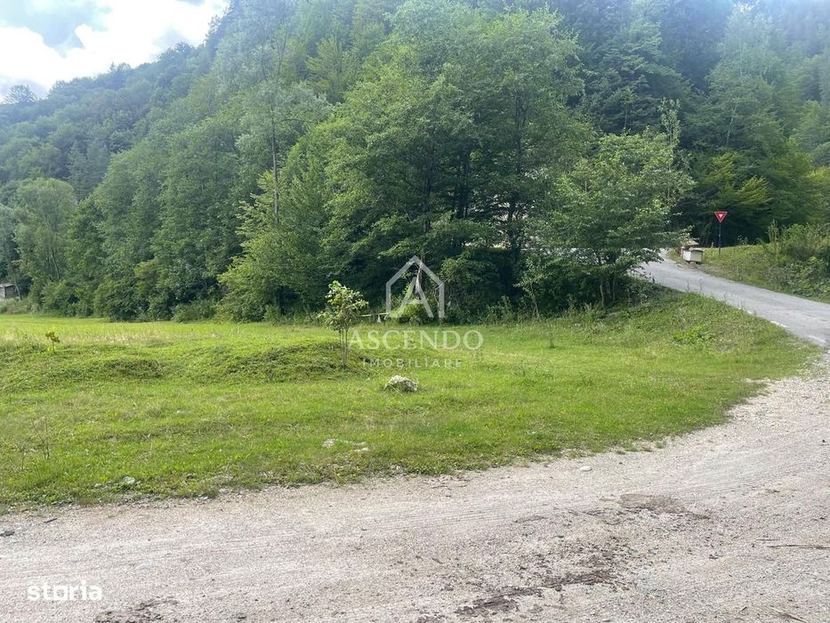 Teren Investiție Turistică Dâmbovicioara Baranga | 4.500 mp