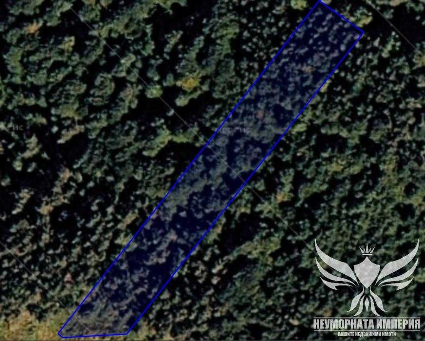 Продавам гора 5553кв.м. в м.Бяла Черква, с.Добралък,общ.Куклен