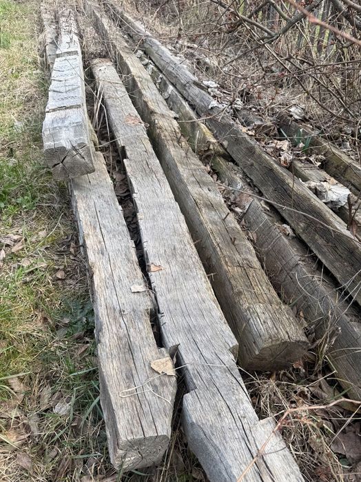 Vand lemne foc, stejar si brad