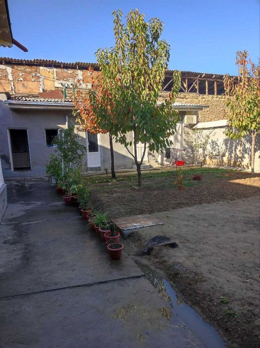 Olmazor tumani, Shlanba (Dadabayeva) ko‘chasi Xovli sotiladi