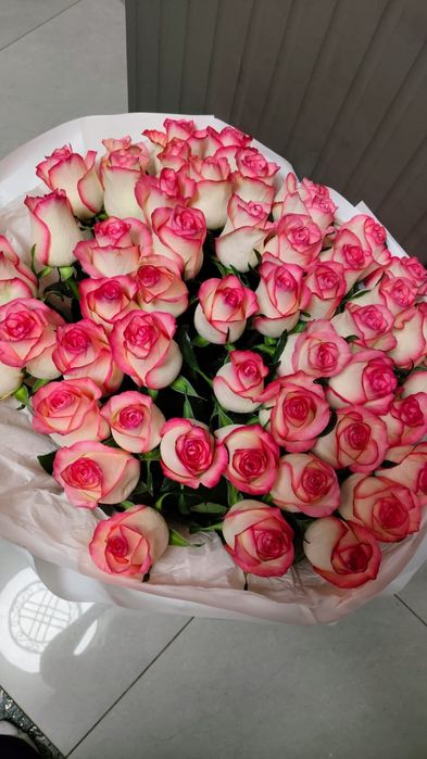 51 Голанских роз