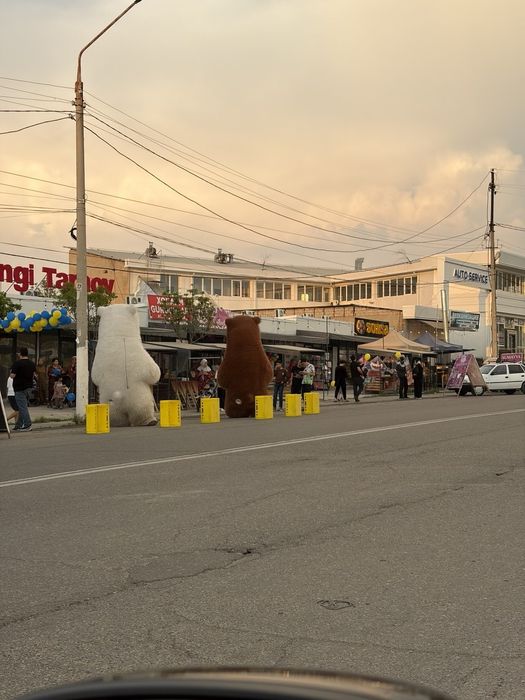 Arendaga do'konla TARNOV