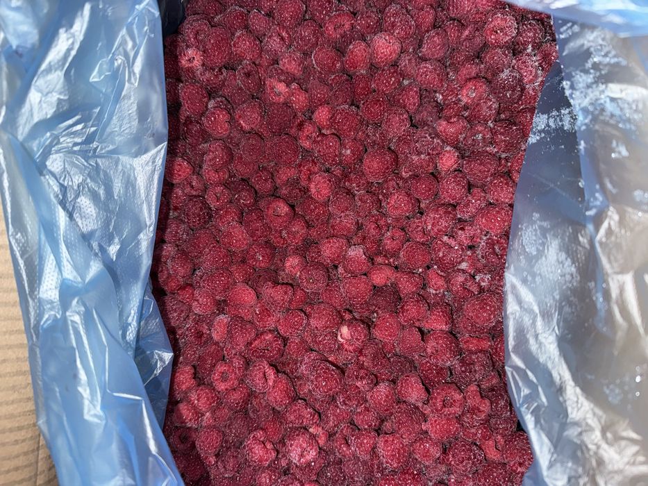 Malina Optom | YAGODA