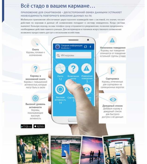 Smart буйинбог сигир хақида тўлиқ ахборот берувчи мослама