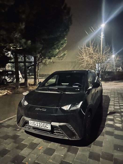 Byd seagull e2 ben ben