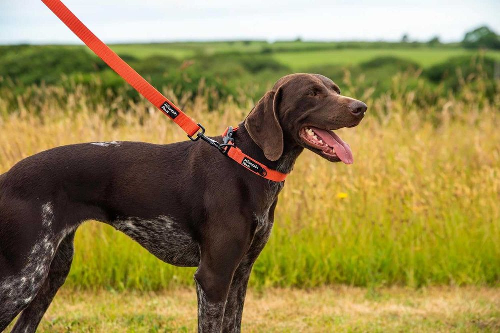 Изключително здрав повод за кучета Mountain Paws, 1,15 метра, червен