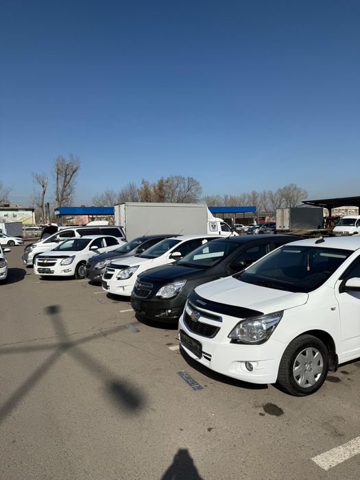 KOBALT без пв взнос