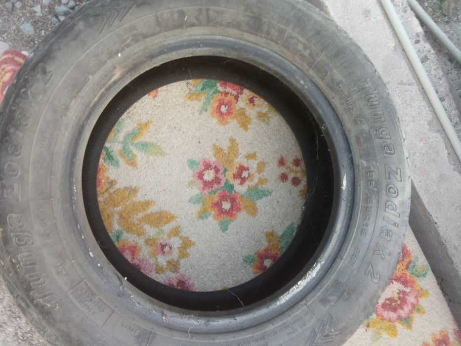 Летние шины Tunga Zodiak 2 195/65