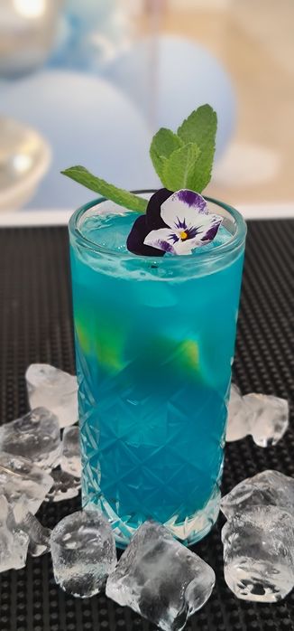 Open bar & tort shoturi