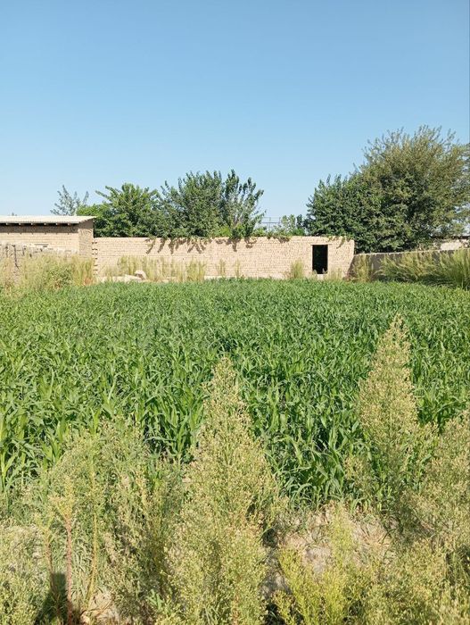 Участка Земля продается срочна