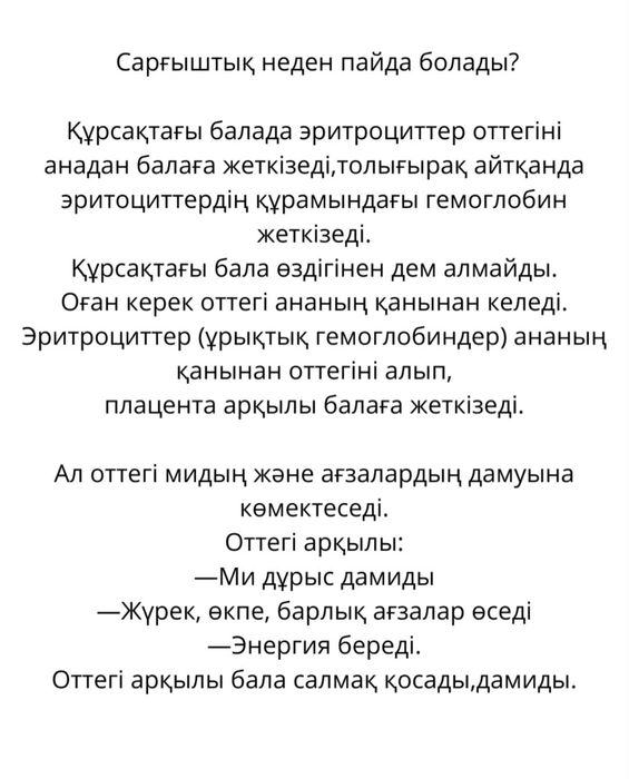 Фотолампа сдаю в аренду