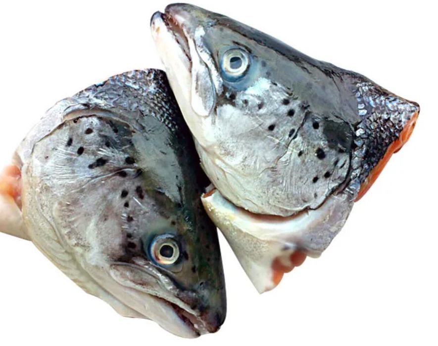 Семга свежемороженая