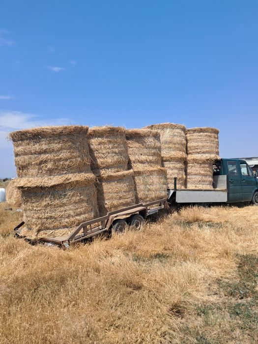 Dezmembrez Mercedes sprinter  vând sau schimb