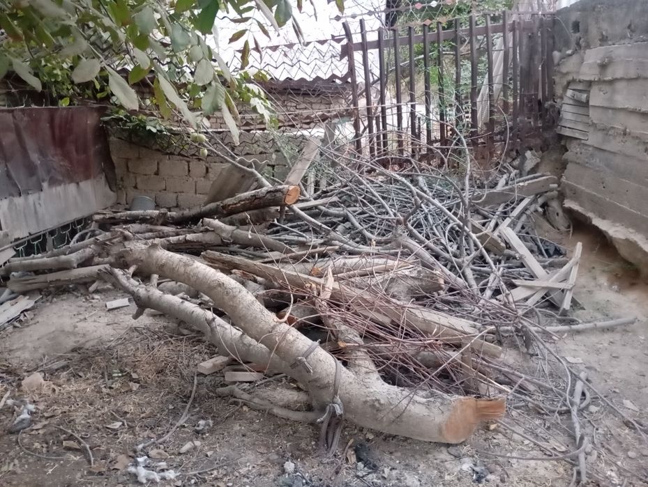 Отин сотаман куриган