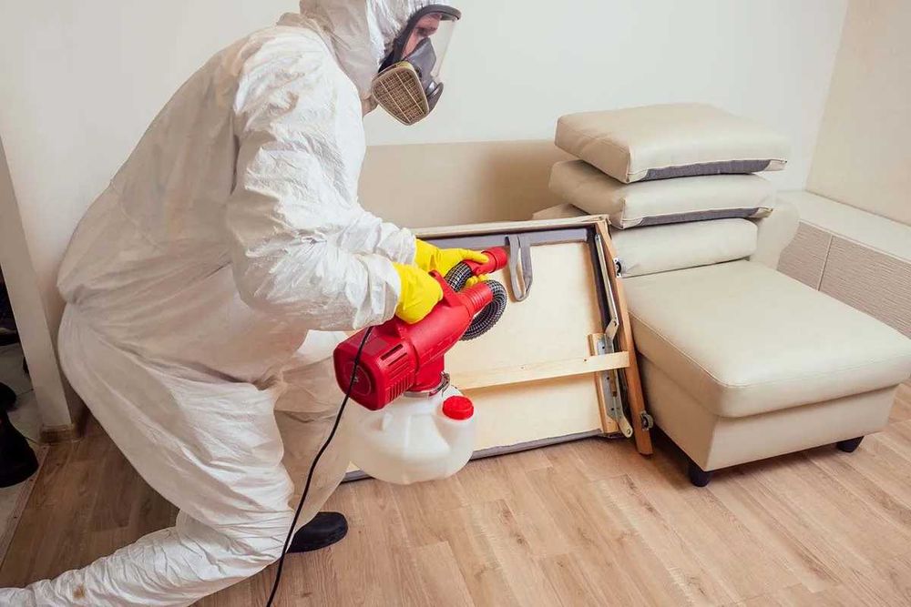 DEZINSECȚIE PLOȘNIȚE DE PAT – Garantat | Autorizat | București & Ilfov - 0765 444 422