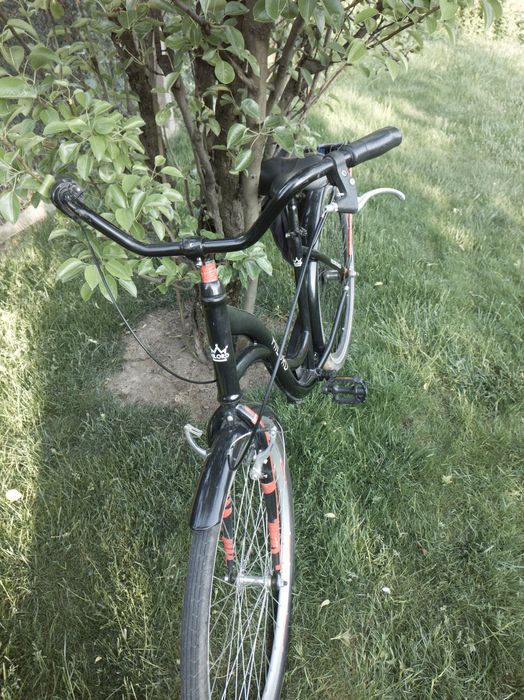 Bicicletă MILORD robustă