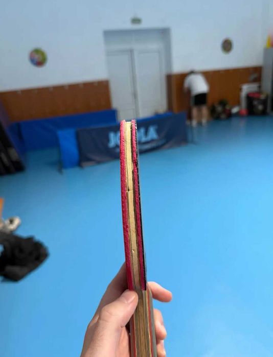 Paletă profesională tenis de masă !