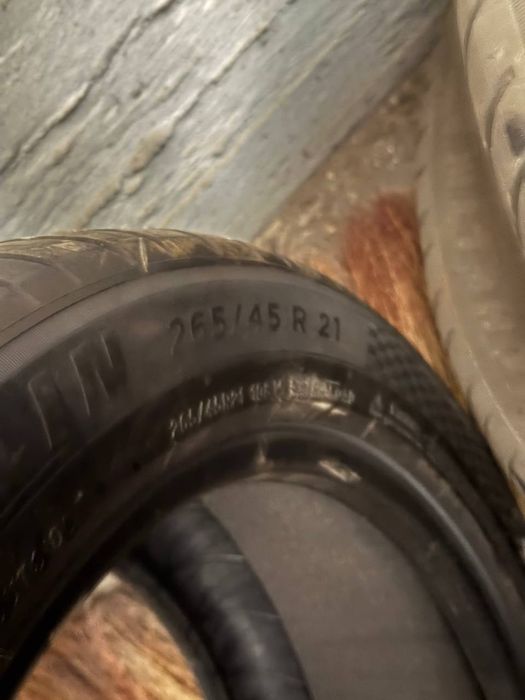 Mishelin  lisyang родной балони