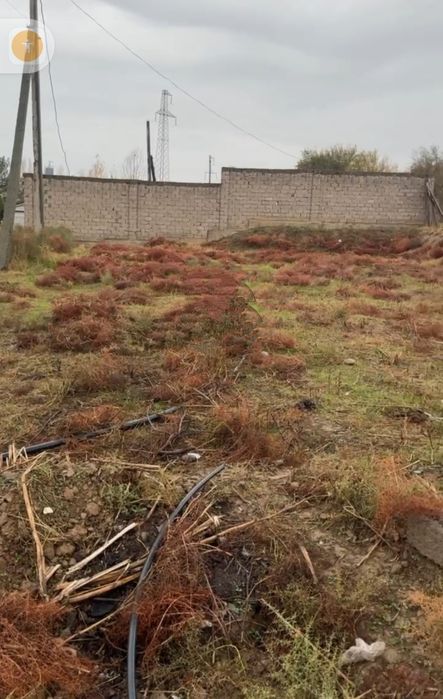 Зангиота тумани Нуробод МФЙ да  3.8 сотих ер сотилади