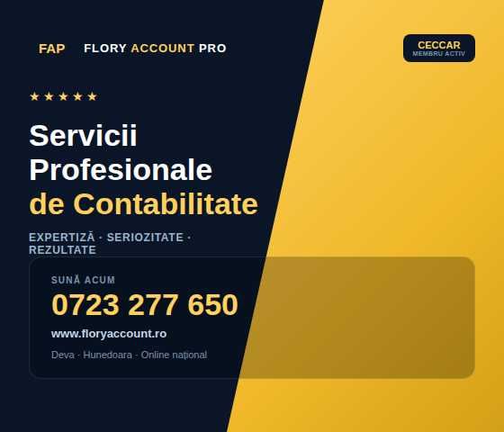 Servicii profesionale financiar contabile
