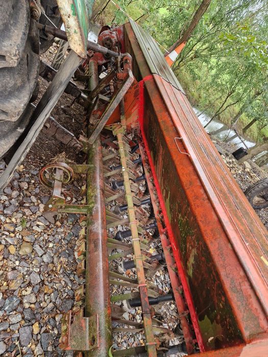 Semanatoare paioase sup 29