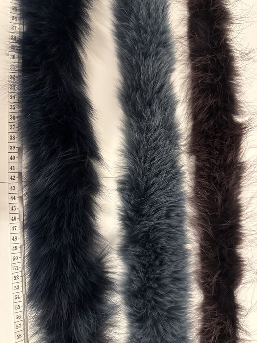 3 gulere blana , vulpe