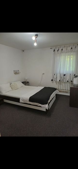 Vand casa in Petrovaselo