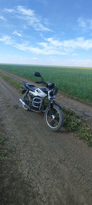 продам мотоцикл alpha rx 125