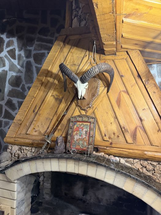 Трофеи от благороден елен