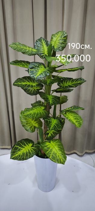 Suniy daraxt va gullar Искусственные цветы и деревья