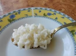 Молочный гриб полезный