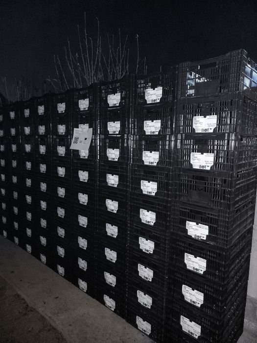 Ящики пластиковые