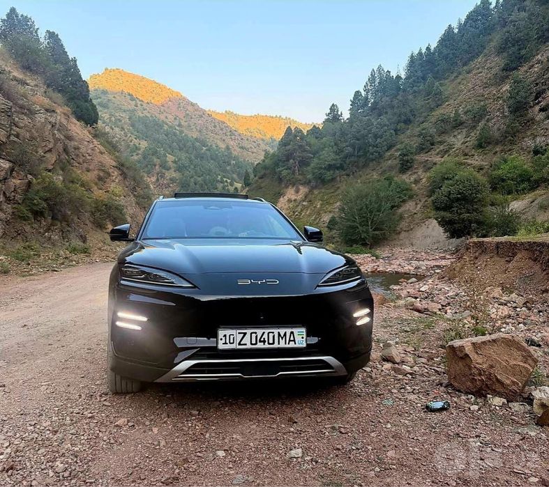 Byd champion 605km 2024yil kraska toza 53.000km yurgan