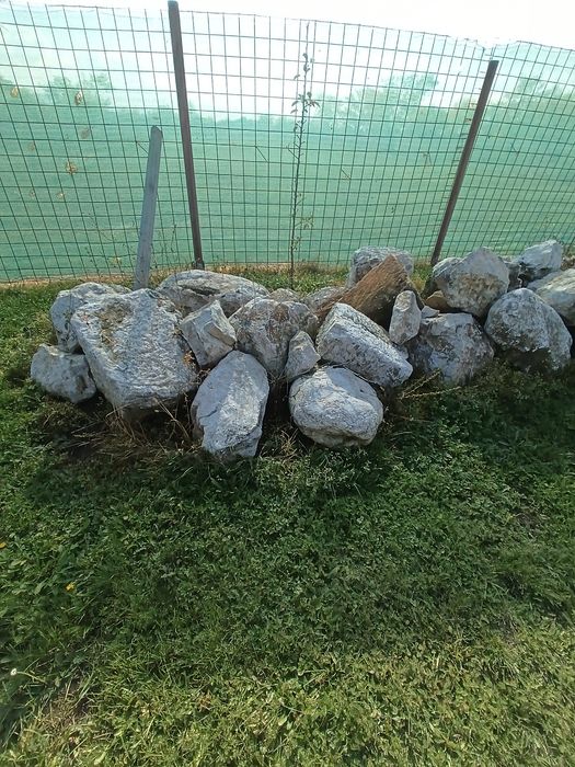 Piatra ornamentala grădină