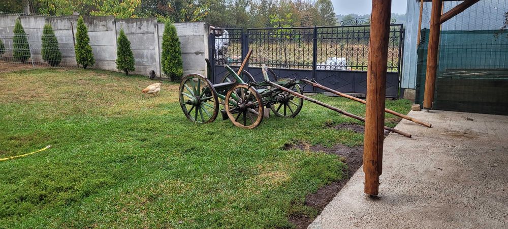 Car de lemn si poarta metalica