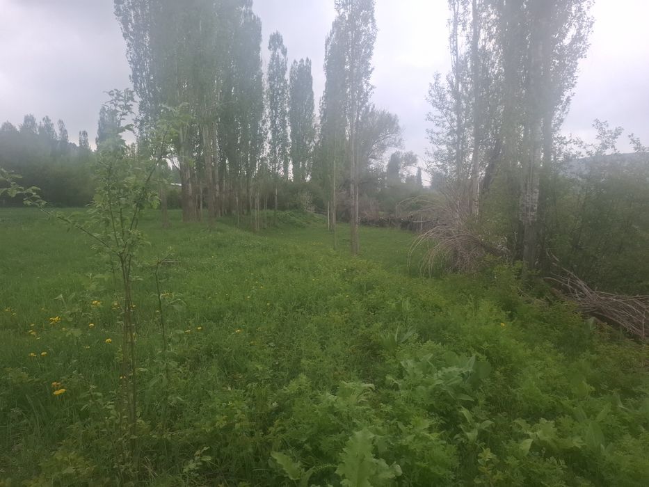 Жер сатылады 80 соттық